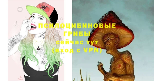 первитин Горняк