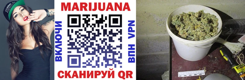 продажа наркотиков Змеиногорск Бошки Шишки OG Kush